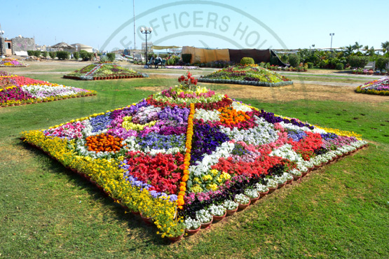 PAKISTAN FLOWER SHOW 2017