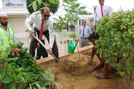 DHA HORTICULTURE DIRECTORATE ENGAGED IN PROMOTION OF GREENERY AND HORTICULTURE IN HOUSING AUTHORITY